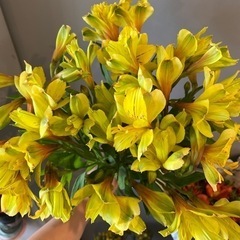 生花 アルストロメリア・ゴールド10本の画像