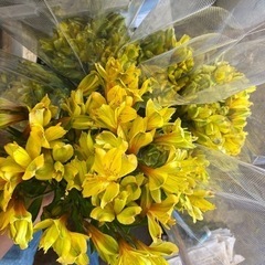 生花 アルストロメリア・ゴールド10本の画像