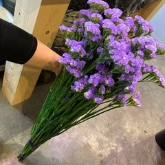 生花 スターチス・ジェットブルー10本の画像