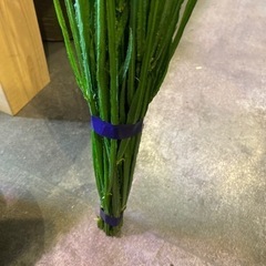 生花 スターチス・ジェットブルー10本の画像