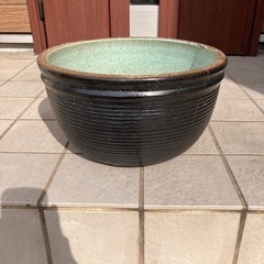金魚が喜ぶ金魚ばち