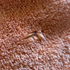 ビーズクッション　　の画像