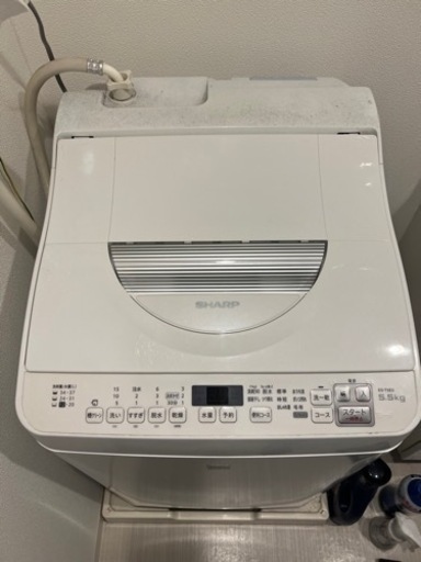 早い物勝ち‼️