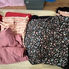 レディース オールシーズンの画像