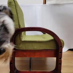 正座のできる座イスの画像