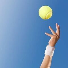 硬式🎾鎌ヶ谷＆白井　●テニスの技術向上＆楽しく少し真剣に🎾　鎌ヶ...