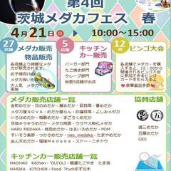 🌷朱光菊ブルー🌷道の駅くりもと紅小町4月14日🉐ALL1000円販売🉐の画像