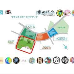 🌷朱光菊ブルー🌷道の駅くりもと紅小町4月14日🉐ALL1000円販売🉐の画像