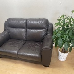 家具 ソファ 2人掛けソファ
