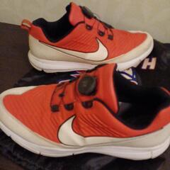 ゴルフスパイク ナイキ使用感ありすぎ💦の画像