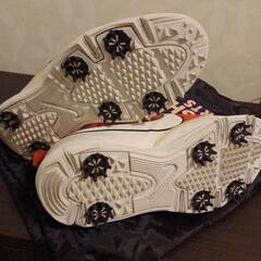 ゴルフスパイク ナイキ使用感ありすぎ💦の画像