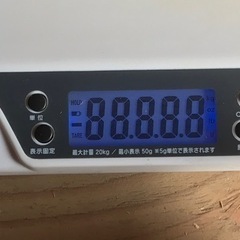 ペットくんの画像