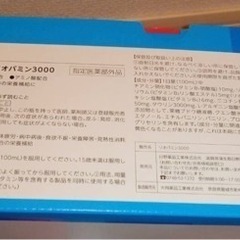 リオパミン 栄養ドリンク 30本の画像