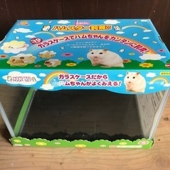 ハムスター飼育セット