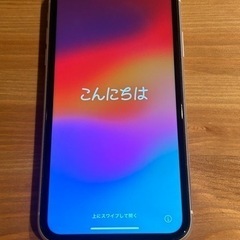 US仕様　iPhone11 256GB SIMフリー