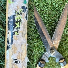 鋏の画像