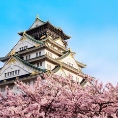 お城巡り好きな人募集‼︎