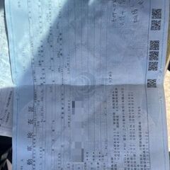 H24 セレナ