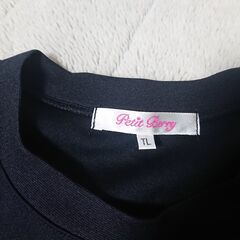 ⑧Tシャツ　レディース　サイズTL　学校の部活で着てた物　ソフトボール文字イラスト柄　　他に、タイツ、ショートストッキング等の画像