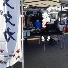 4/14(日) メダカ販売 メダカすくい PSB ゾウリムシ 展...