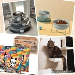 お取引者様決定しました😌新品あり猫用品セット