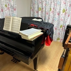 マリンバ、打楽器、ピアノ（趣味、初級）、ボイストレーニング（カラオケ上達）の指導します！の画像