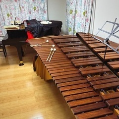 マリンバ、打楽器、ピアノ（趣味、初級）、ボイストレーニング（カラオケ上達）の指導します！の画像