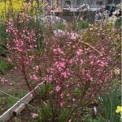 生活雑貨 家庭用品 ガーデニング