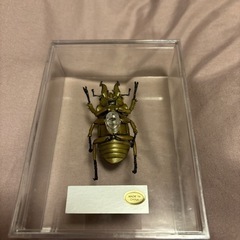 ディアゴスティーニ昆虫フィギュア⑤の画像