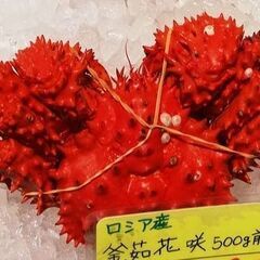 🔴５月３０日・ウナギなどを食べに行きませんか？🔵  🌈🌈🟢 🔴🔵🌕️🌈🌈🟢 🔴🔵🌕️🌈🌈🌈🌈🟢 🔴🔵🌕️🌈🌈🟢 🔴🔵🌕️🌈🌈  🌈🟢 杉並区高円寺で電動自転車のリサイクルショップをやっているオッさんです🔴🔵  🔵　あと、女性専用のシェアハウスと、アパート経営もやってる、Ｋ－ＡＳＡＤＡです。 🔴 お笑い大好き、金髪、短足、面白い顔のふざけた、５０オーバーのオッサンです。 　 🔵 趣味は、海外旅行、食べ歩き、温泉、国内旅行、食べ歩き、お - メンバー募集