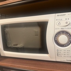 家電 キッチン家電 電子レンジ