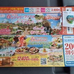 レオマリゾート特別ご優待券(無料)