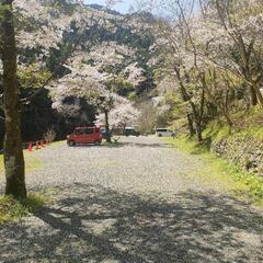 土日開催  レンタルテントサウナ Saunow 設置から撤収まで全て行います − 和歌山県
