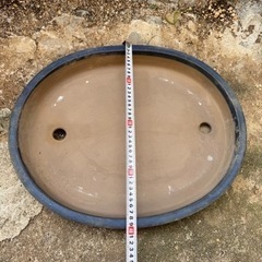 盆栽　皿　鉢の画像