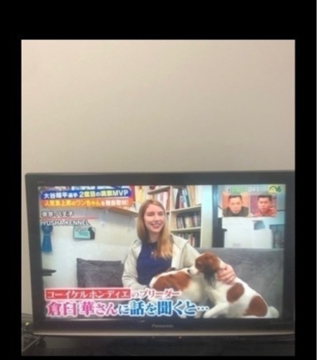 【本日限定】Panasonic32型　録画機能付きテレビ