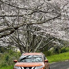 日産 エクストレイル ２０Ｘ
