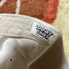 キャップの画像