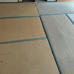 古畳（商談中）