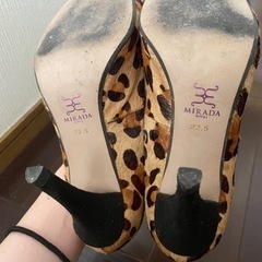 ヒョウ柄パンプスの画像