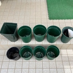 鉢植え　ガーデニングの画像