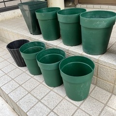 鉢植え　ガーデニングの画像