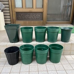 鉢植え　ガーデニング