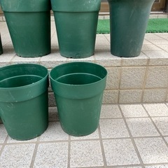 鉢植え　ガーデニングの画像