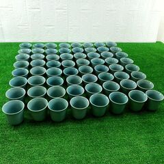 【コレ見て！お店/厨房】　まとめて64個 たち吉 酒器 緑