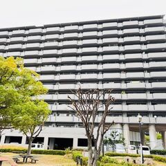 ☆八尾市沼1丁目☆ペット可 中古マンション（リフォーム済）【朝日...