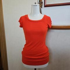 お値下げしました!4枚セットアメリカSHOPで購入Tシャツ