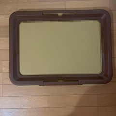 犬　わんちゃん　トイレトレーニングの画像