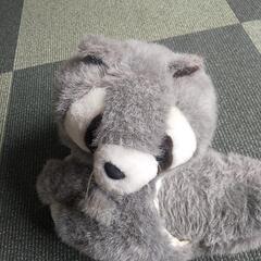 アライグマのスリッパの画像