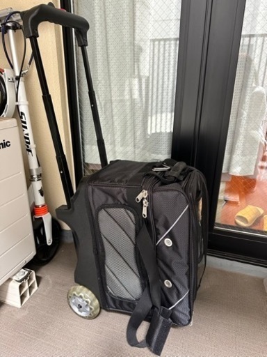 ボウリングボール2個&キャリーケース