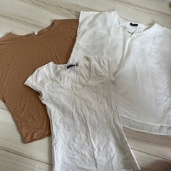 レディースTシャツ